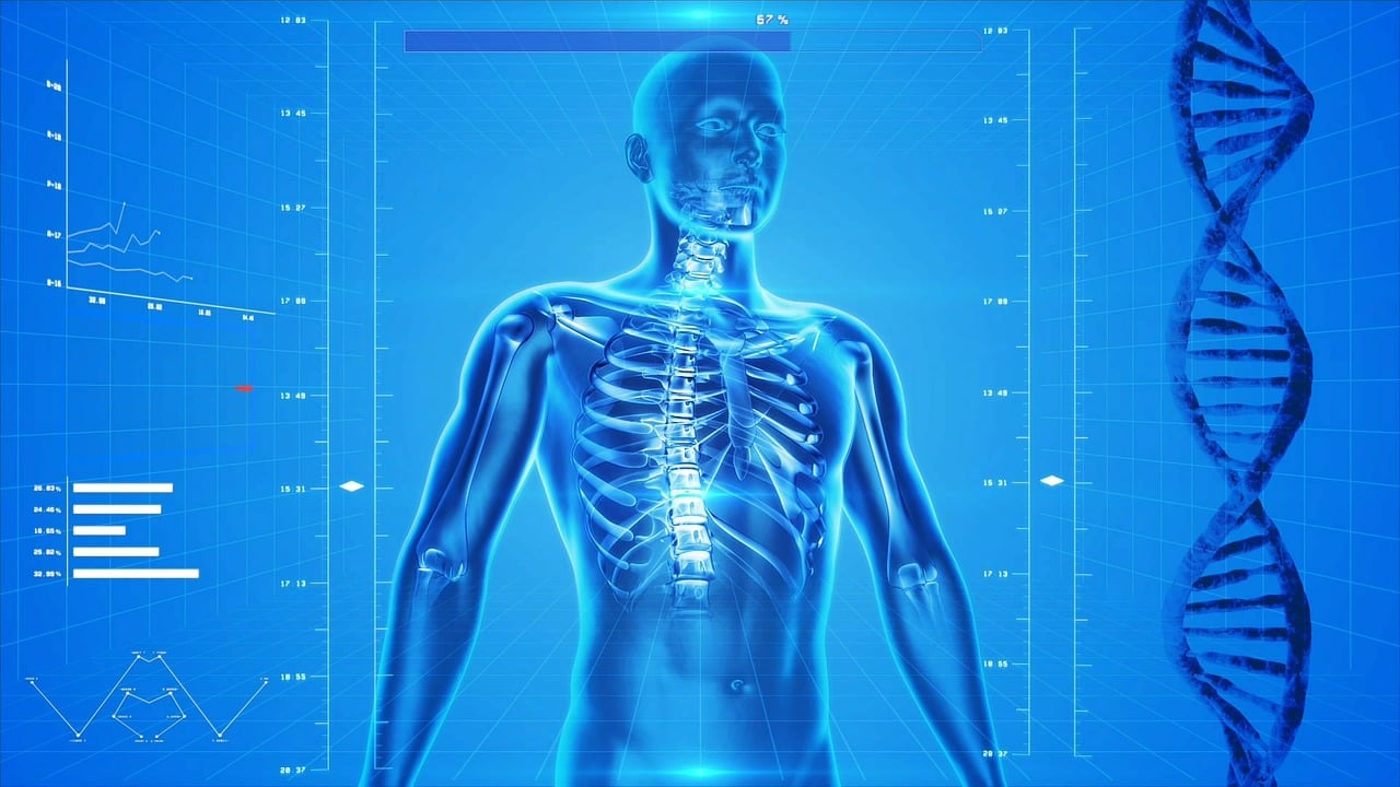 Quais são os cinco sistemas do corpo humano?